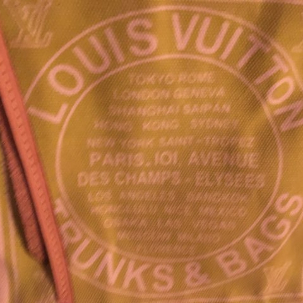 Louis Vuitton Canvas Globe Trotter Bag in Yellow